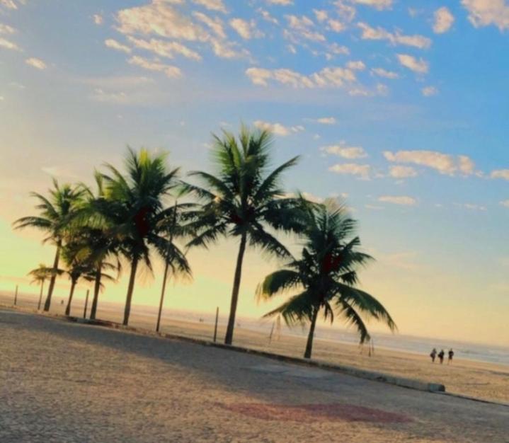 大普拉亚Pousada/suites Praia Grande III的沙滩上一排棕榈树