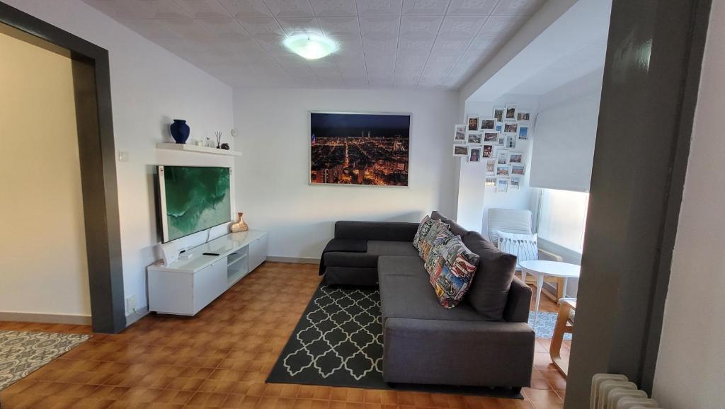 略夫雷加特河畔奥斯皮塔莱特APARTAMENTS B O D CoLLBLANC的带沙发和电视的客厅