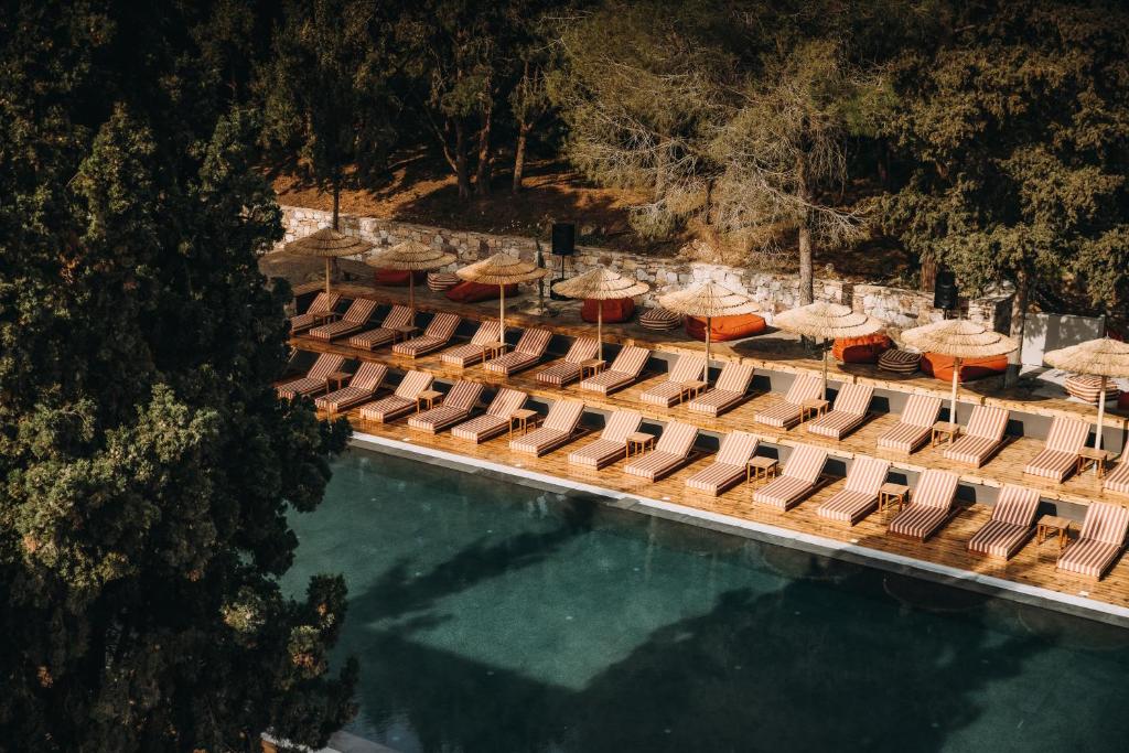 伊利索斯Cook's Club Ialysos Rhodes的享有带椅子和遮阳伞的游泳池的上方景色