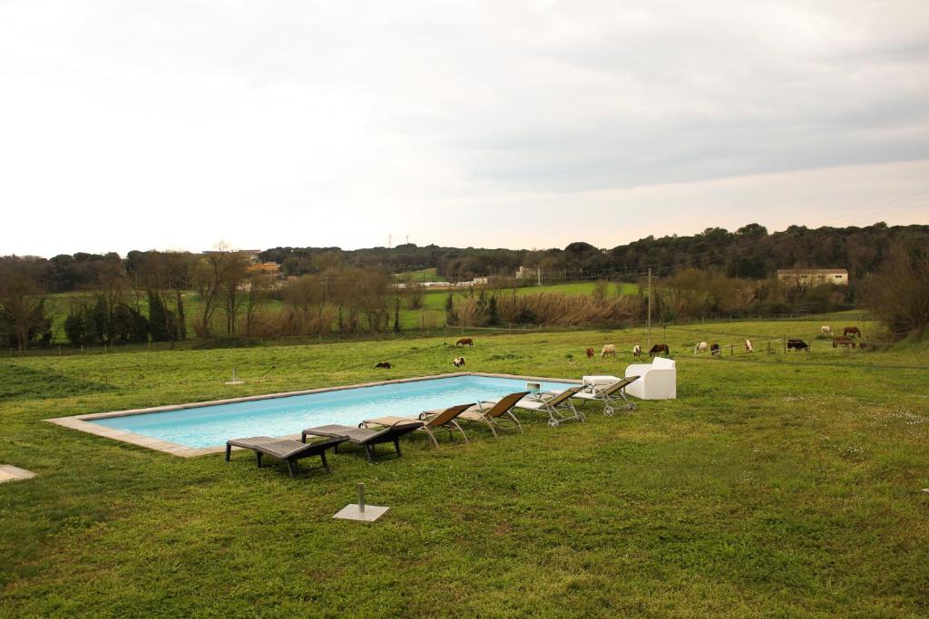 赫罗纳Mas Goy, casa rural con piscina的游泳池,带椅子,旁边还有人