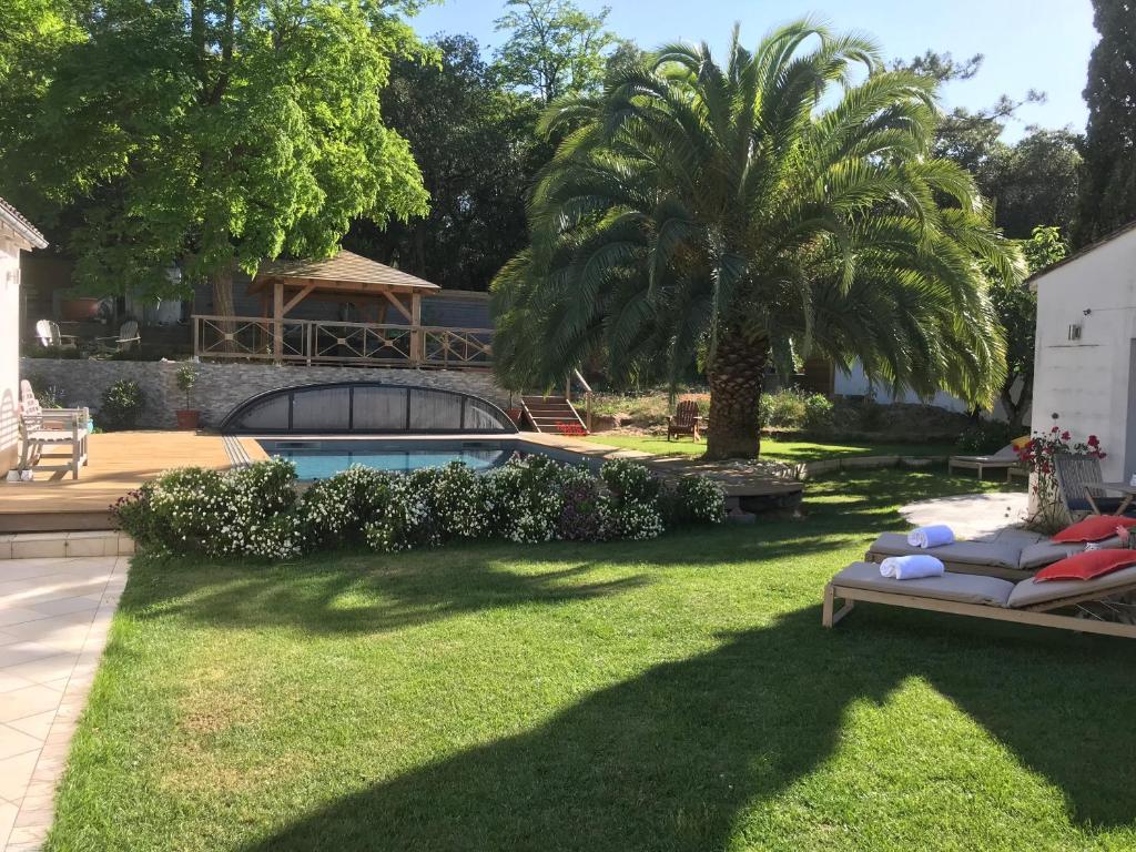 滨海拉库阿尔德LA MAISON DE LA DUNE - Chambres Climatisées - Jacuzzi 1ère séance offerte - Piscine chauffée avec Abri Amovible - Plage située à 200m, accès direct par le bois的一个带游泳池和棕榈树的庭院