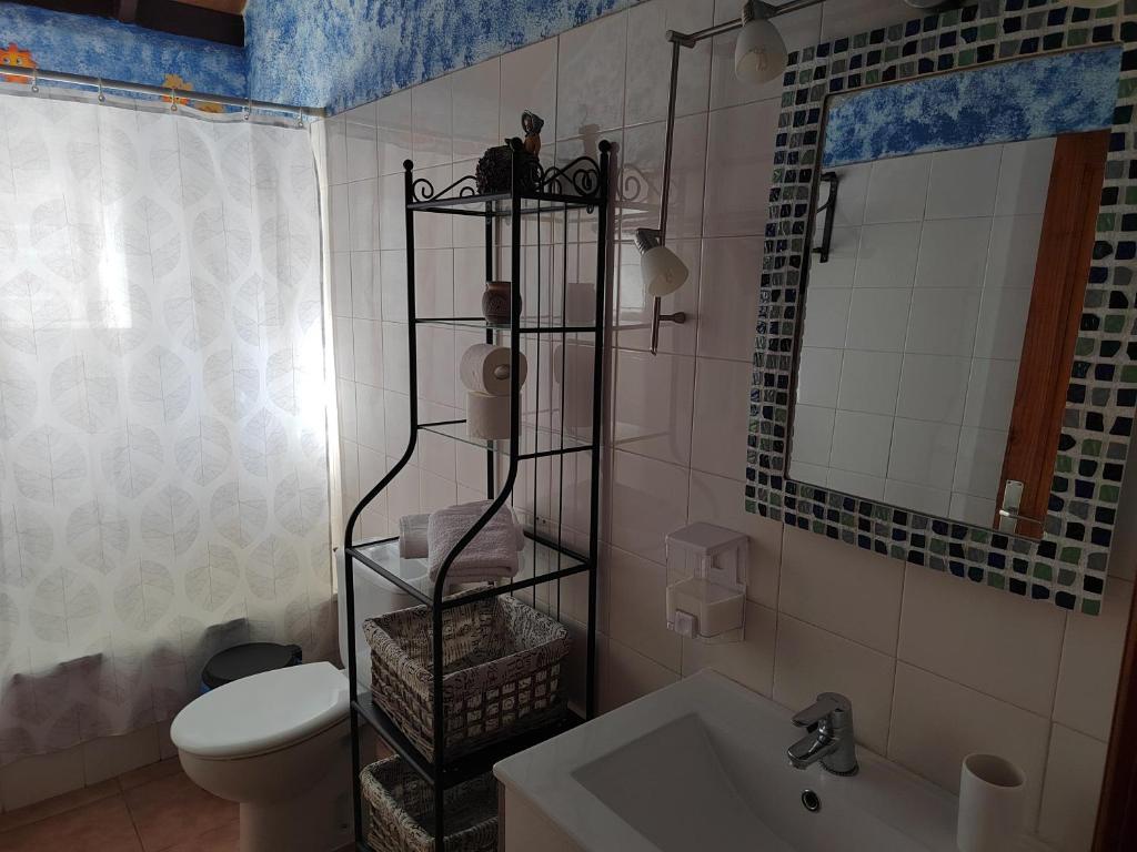 戈梅拉岛圣塞瓦斯蒂安Mirador Vista Palacios的一间带卫生间、水槽和镜子的浴室