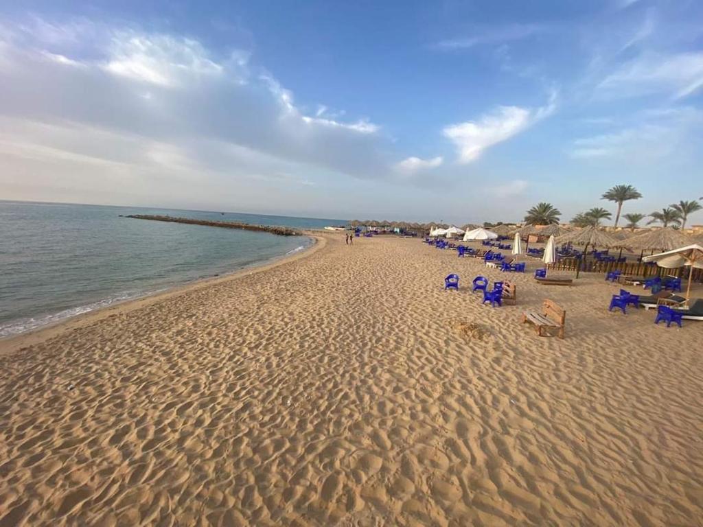 艾因苏赫纳Private chalte Palmera sokhna family的海滩上设有椅子和遮阳伞,还有大海
