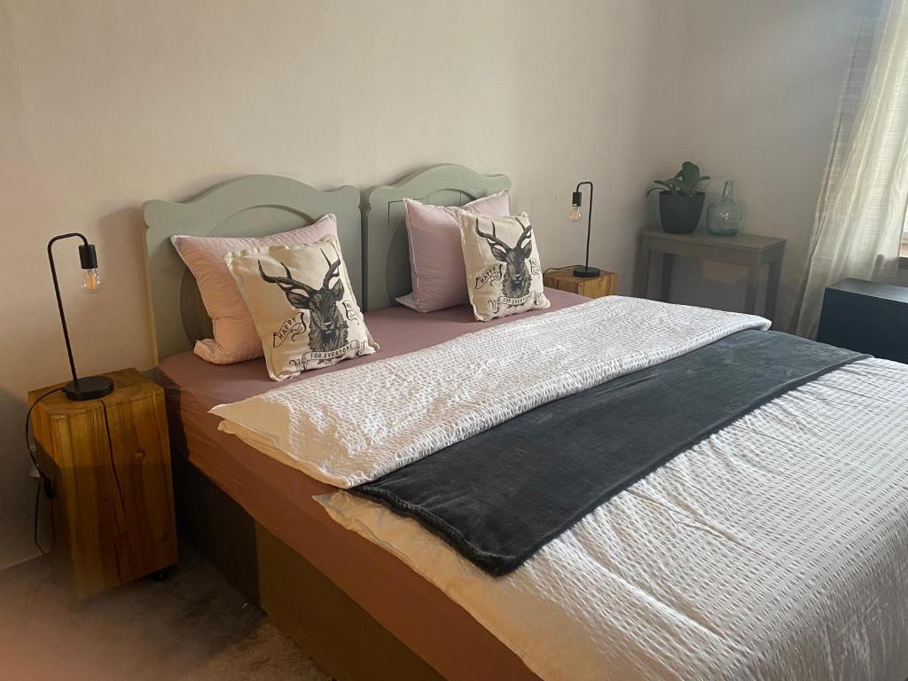 HartmaniceApartment Stará Pošta的一间卧室配有一张带枕头的大床