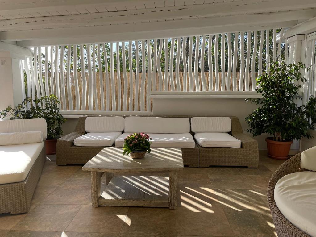 奥罗塞伊Villetta Santa Maria的带沙发、桌子和植物的客厅
