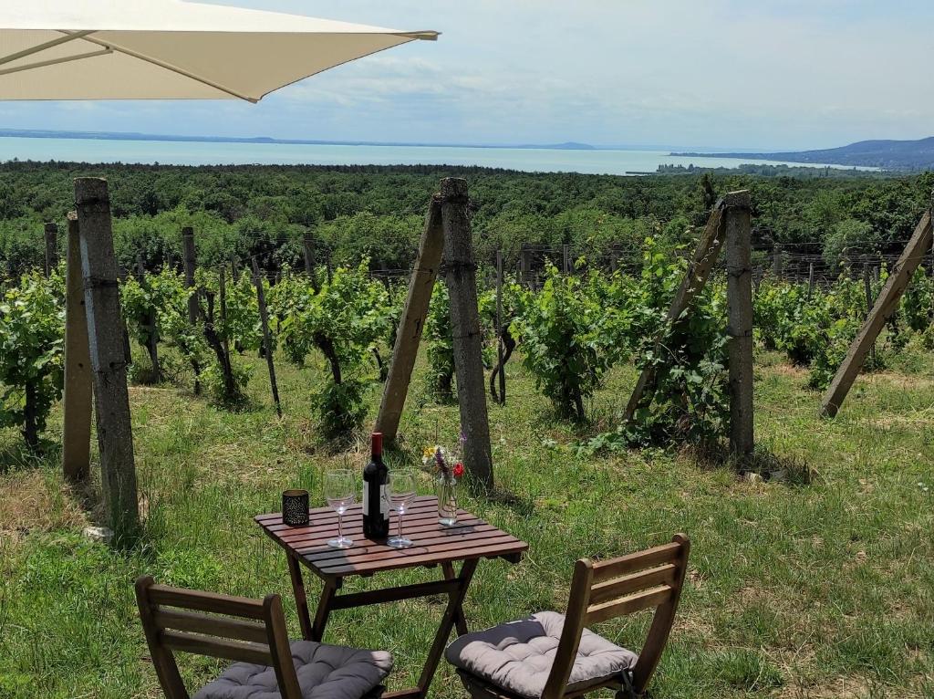 鲍洛托瑙考利Napraszállás Vendégház的一张桌子、一瓶葡萄酒和两把椅子