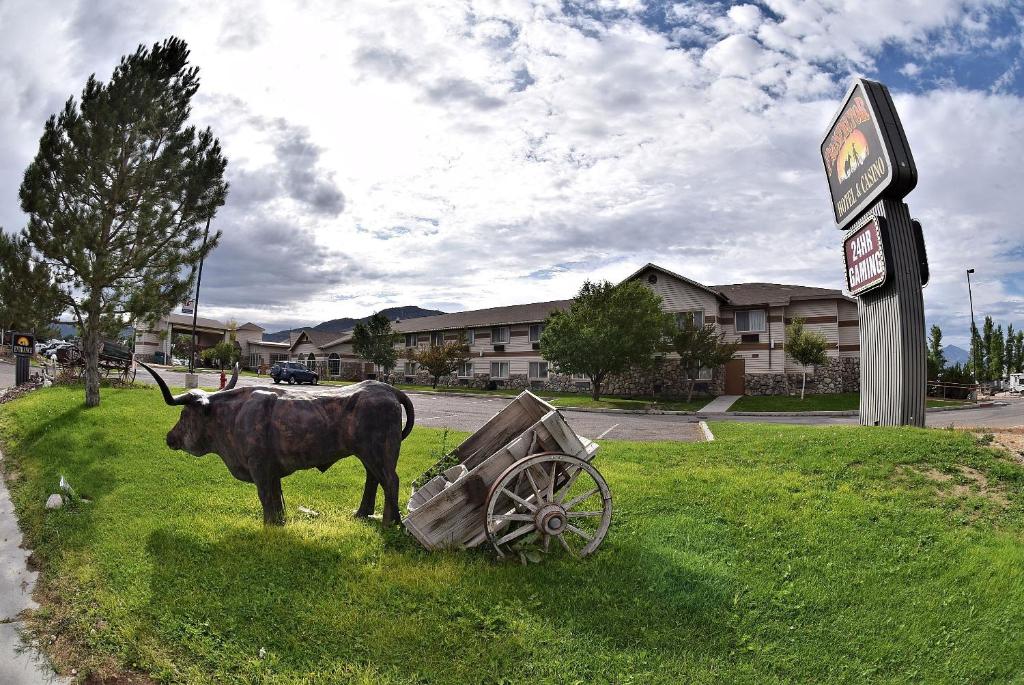伊利普罗斯贝克特赌场酒店的站在草地上一根大车旁边的一头牛