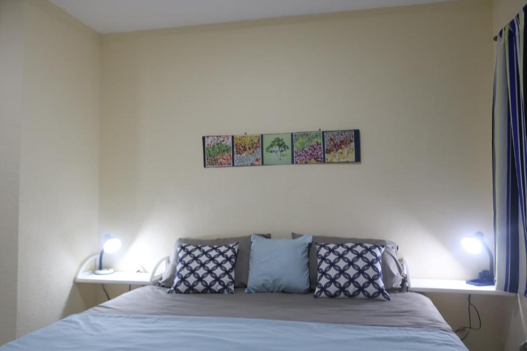 SonzacateApartamento San Carlos的一间卧室配有一张带蓝色枕头的床。