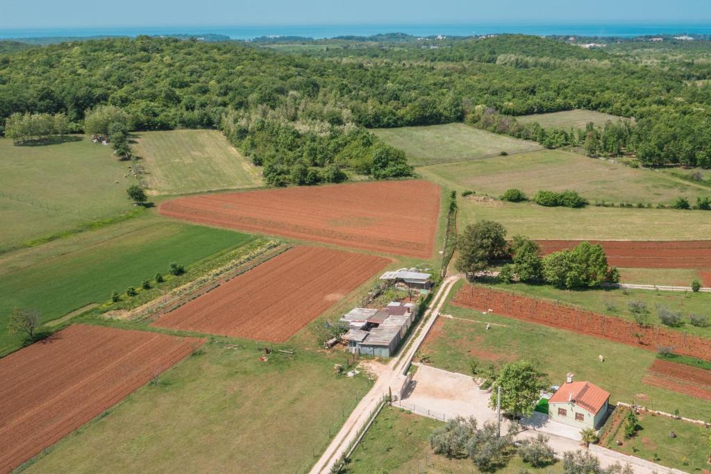 波雷奇Relaxing Farm House near Poreč的享有农场的空中景致,农场拥有田野和树木