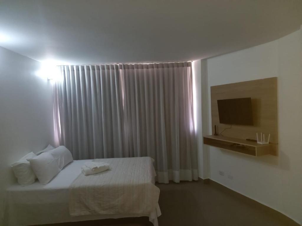 戈亚尼亚Apartamento 1009的酒店客房,配有床和电视