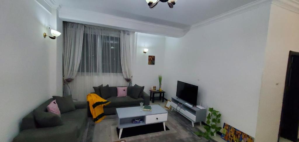 亚的斯亚贝巴Cozy 1-bedroom luxury Apartment的带沙发和电视的客厅