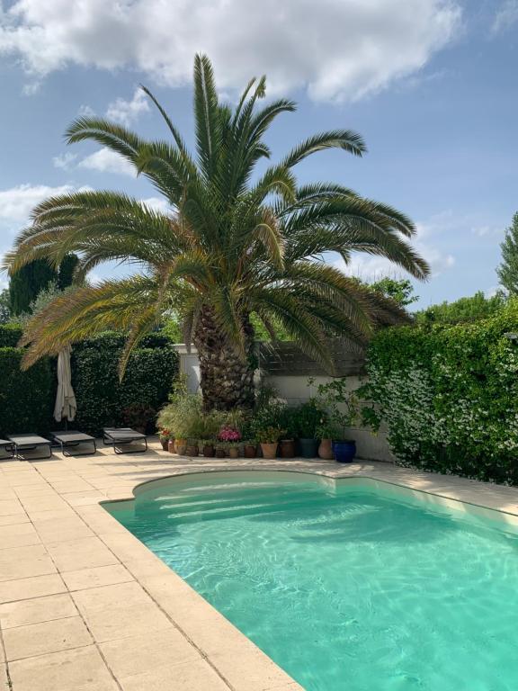 勒布斯卡Chambre cosy indépendante dans jardin verdoyant.的棕榈树和棕榈树游泳池