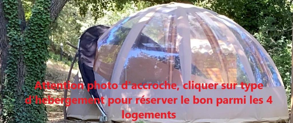 Mondragonnuit étoilée的圆顶帐篷内有一个人