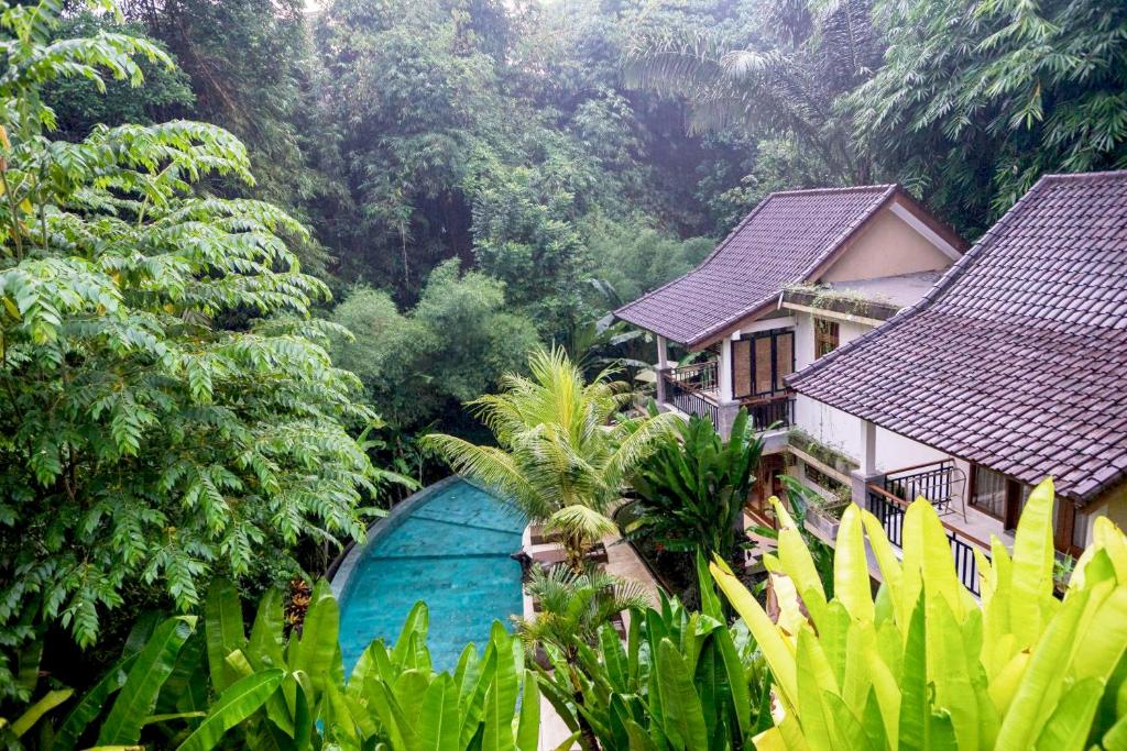 乌布德萨克普图王子旅馆的森林中间带蓝色泳池的房子
