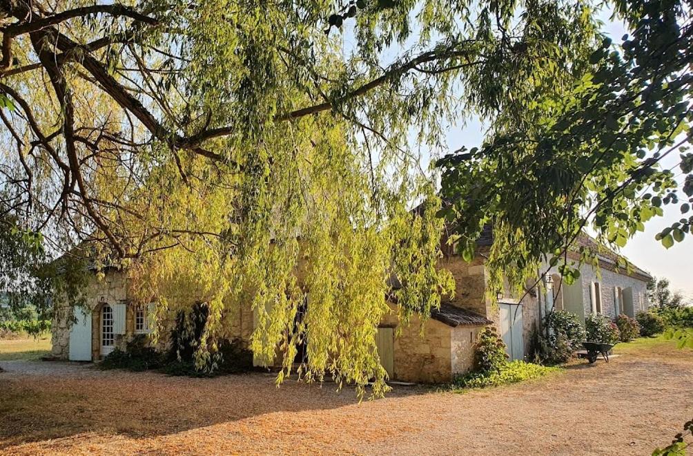 蒙巴兹雅克Clair de Vigne的挂在房子上的树
