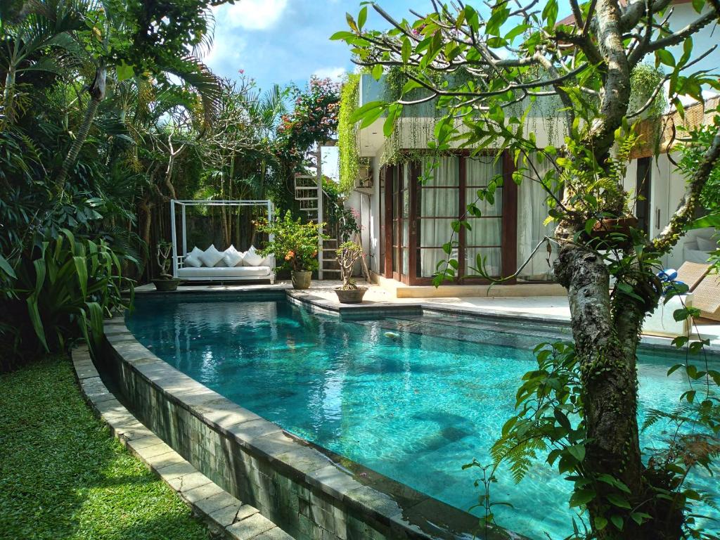 坎古别墅霎哈嘉酒店的一座房子的院子内的游泳池
