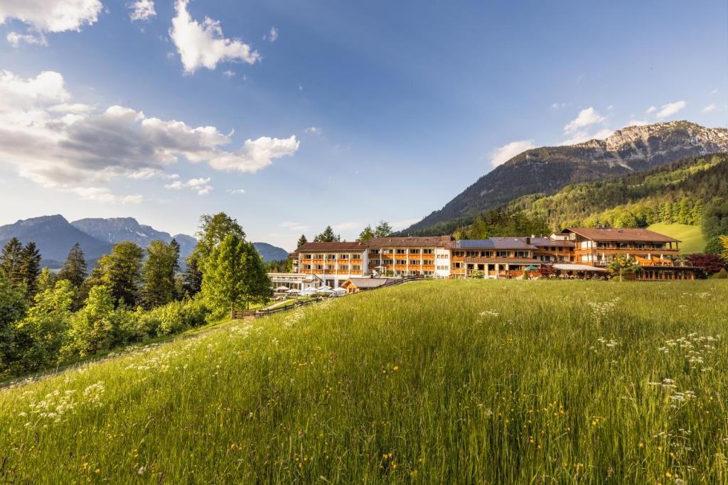 柯尼希斯湖畔舍瑙阿尔本胡夫阿尔卑斯健康酒店的山间酒店,拥有绿色的场地