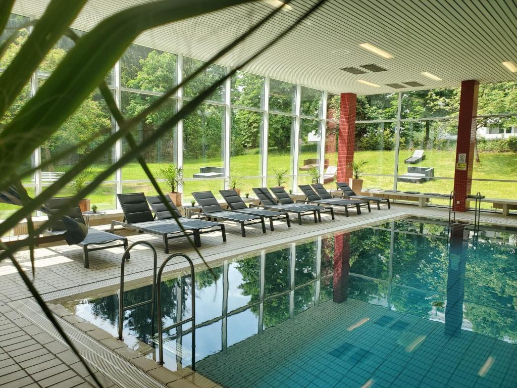 哈嫩克利博克斯维斯哈兹霍赫CAREA皇宫酒店的一座带躺椅的游泳池位于大楼旁