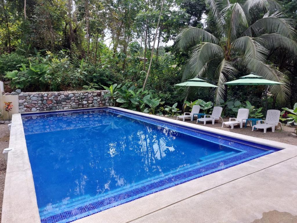 德雷克Corcovado & Drake Inn的庭院内的游泳池,配有椅子和遮阳伞
