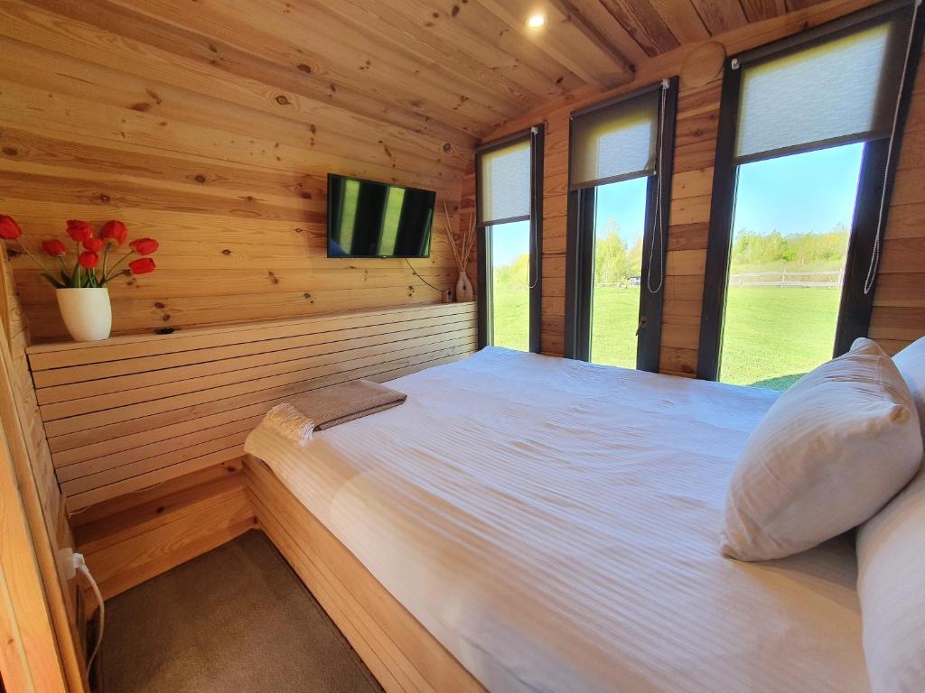 SliseriPurenes - Barrel shaped pod with hot tube的小木屋内的卧室配有1张床和电视