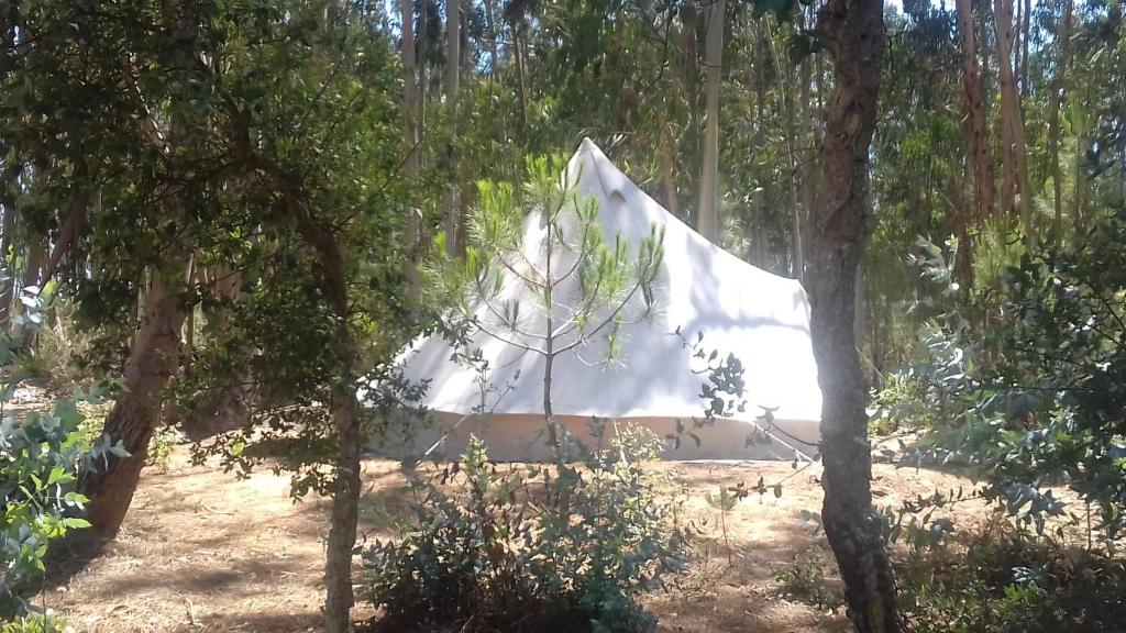 FatacaQuintal Alentejano的森林中央的白色帐篷