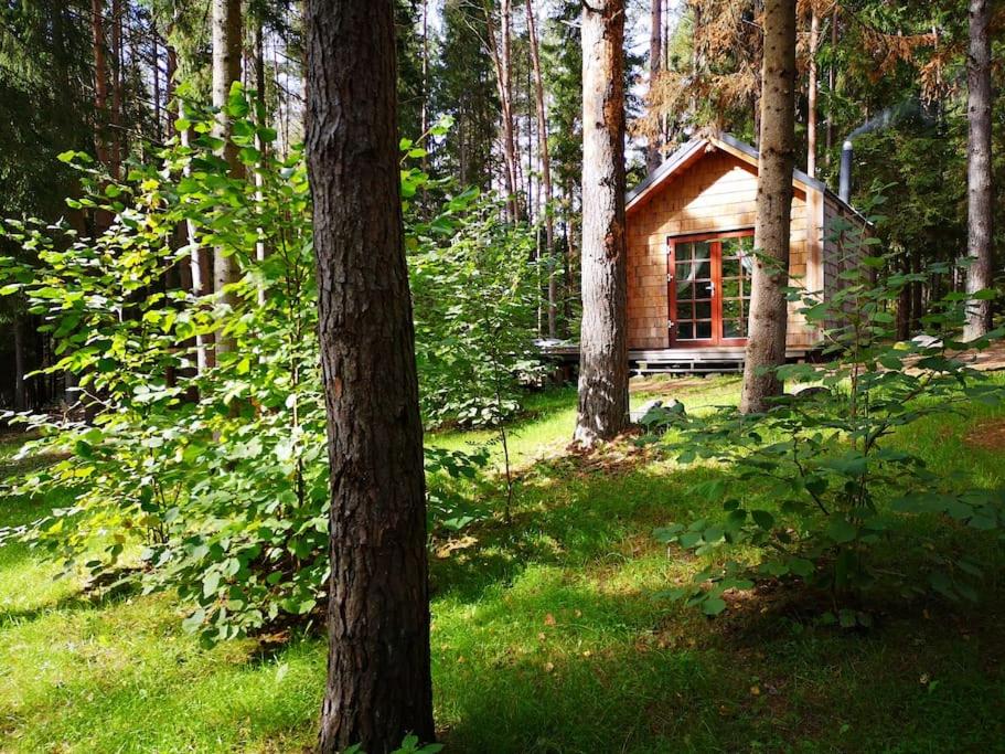 InturkėPrivate cosy forest cabin的森林中小屋