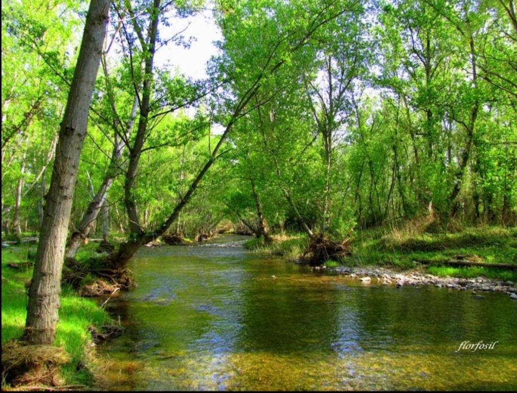 Murillo de Río LezaCasa rural Entre Dos Rios的相册照片