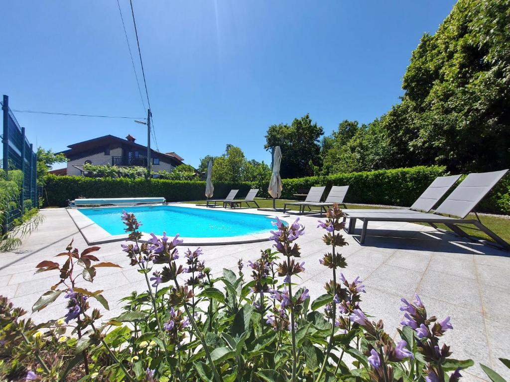 塞扎纳普利米西罗维早餐加住宿旅馆的一个带躺椅和紫色鲜花的游泳池