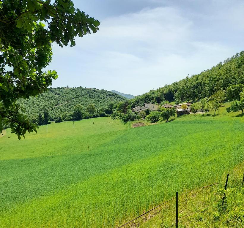 卡夏Agriturismo Casale Sant'Antonio的一片绿地,远处有一座房子