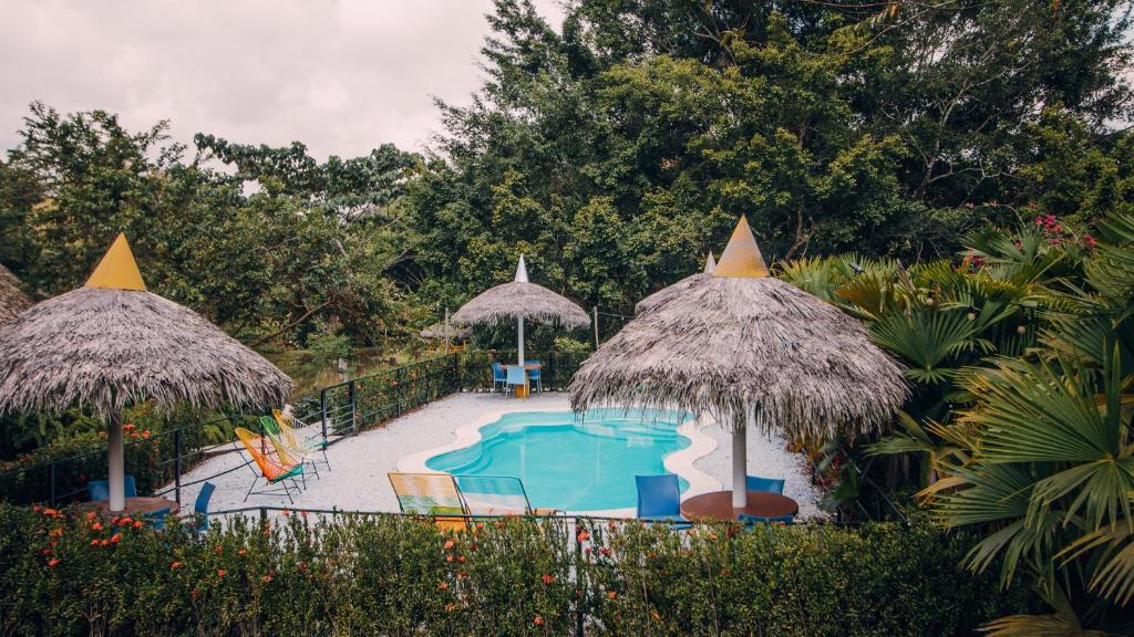 多拉代尔Makenke Hostel By Los Colores Ecoparque的一个带两把稻草遮阳伞的游泳池和一个游泳池