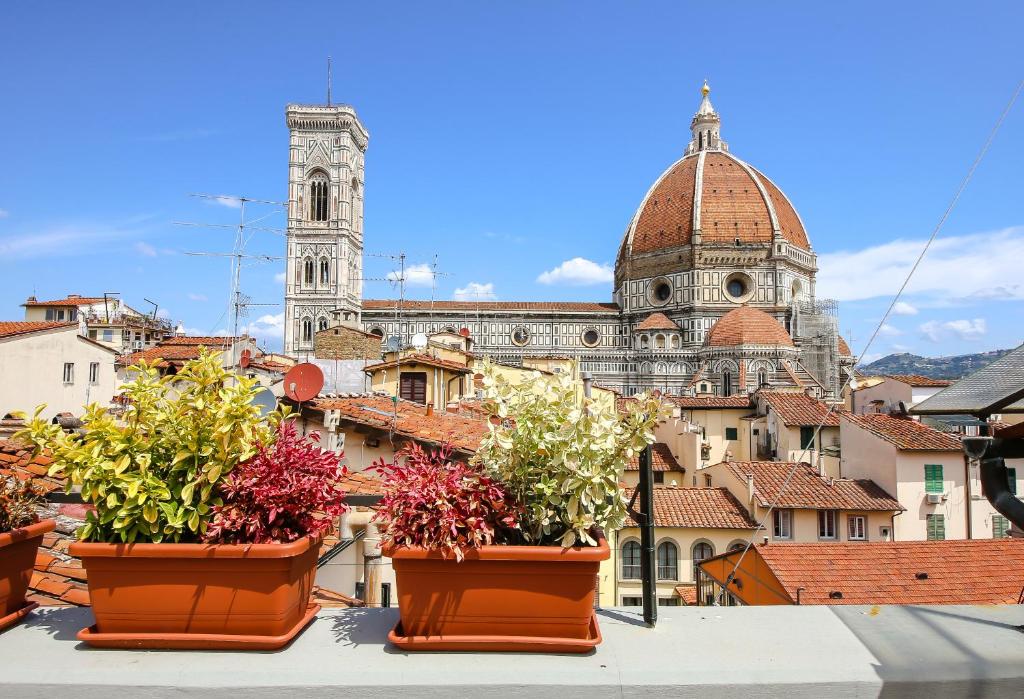 佛罗伦萨Apartments Florence - Florentine Skyline的屋顶上花盆城市景观