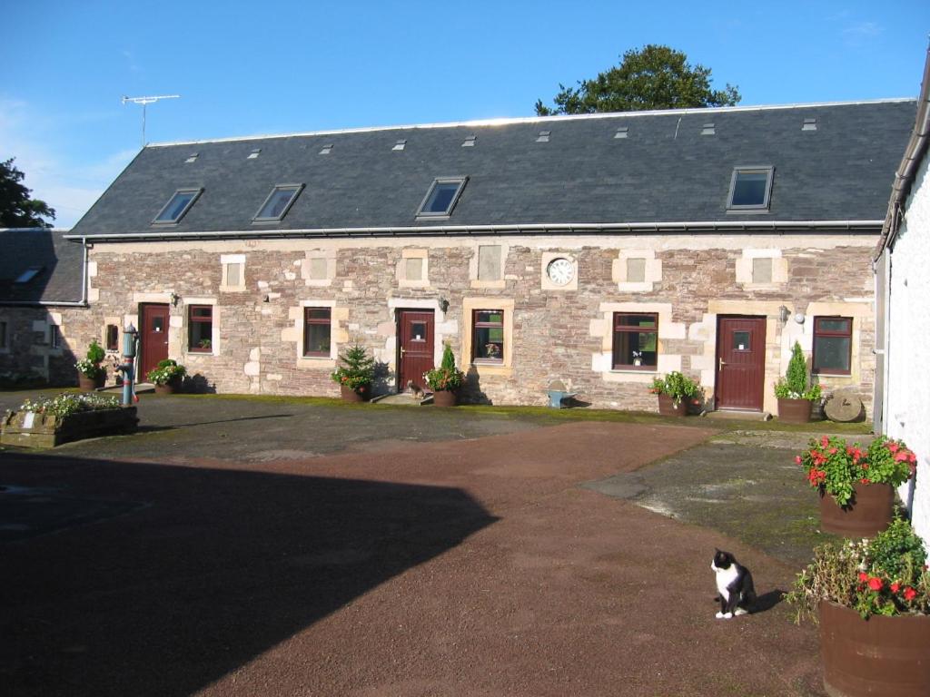 拉纳克Corehouse Farm Cottages - Dairy, Granary & Sawmill的坐在石头建筑前的猫