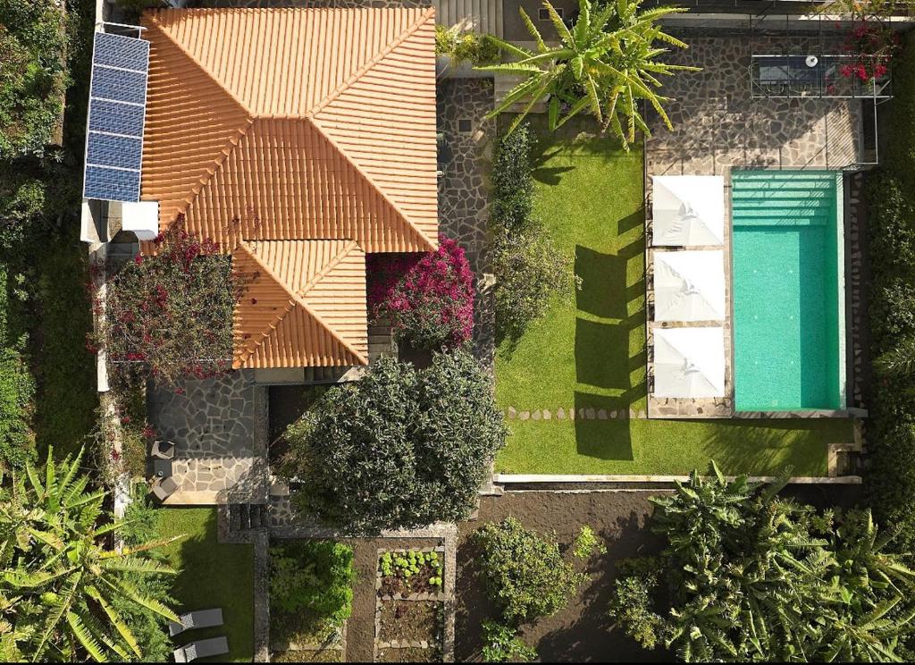 丰沙尔Bordal Houses的享有带花园和游泳池的房屋的顶部景致