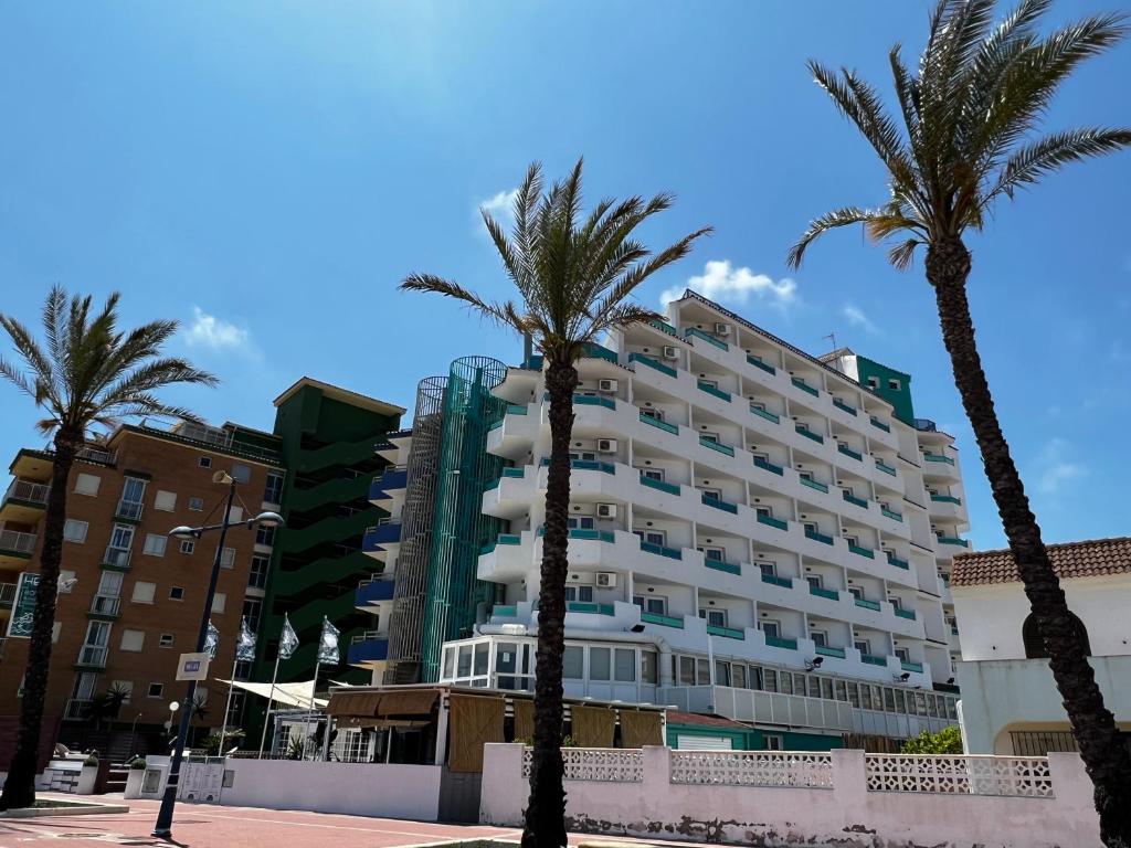 佩尼斯科拉嘿佩尼斯科拉酒店的前面有棕榈树的酒店