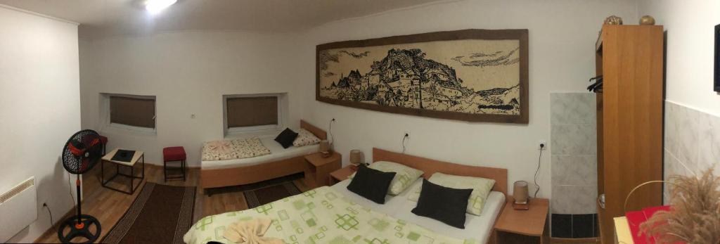 亚伊采Prenoćište Gany的客房设有带一张床和一张书桌的卧室。
