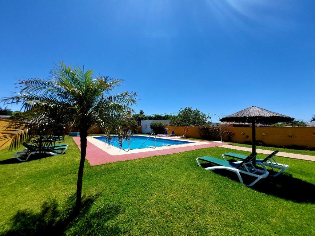 科尼尔-德拉弗龙特拉罗萨莱斯旅馆的一个带游泳池和棕榈树的度假村