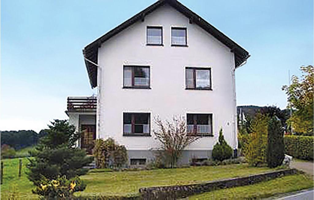 梅德巴赫Lovely Home In Medebach-ddinghausen With Kitchen的黑色屋顶的大型白色房屋