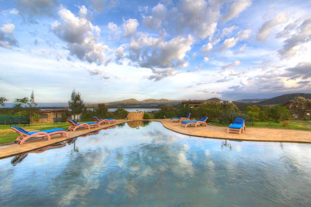 奈瓦沙Naivasha Kongoni Lodge - Lakefront Getaway的一座带蓝色椅子和阴天的大型游泳池