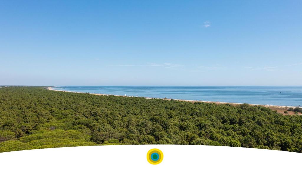 玛里纳罗米亚Sole Family Camping Village的享有海滩和海洋的空中景致