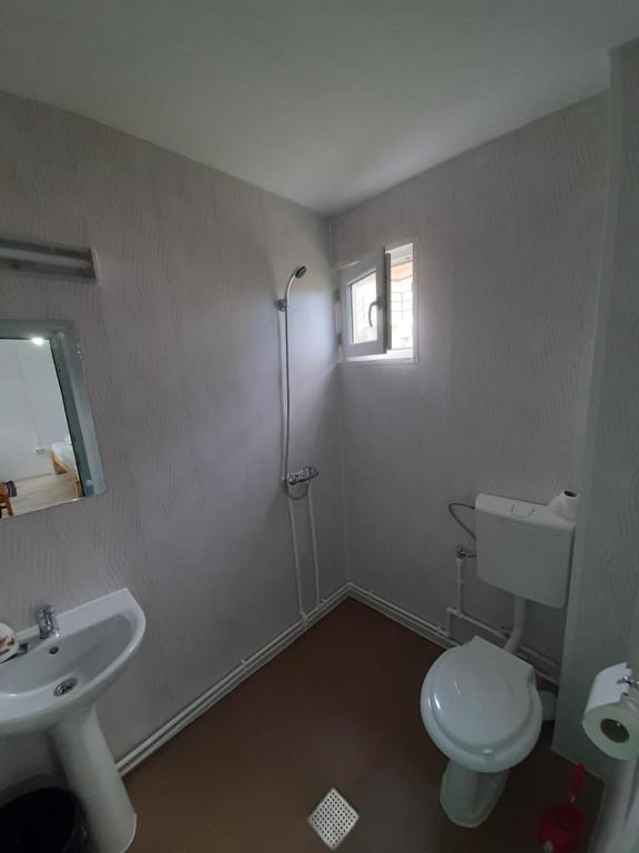 旧瓦马Casa Bekirebeki的浴室配有卫生间、盥洗盆和淋浴。