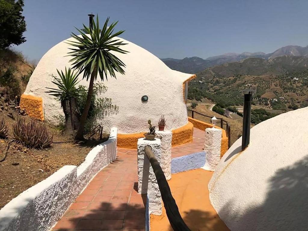 弗里希利亚纳蜗牛乡村酒店的山丘上棕榈树的圆顶房屋