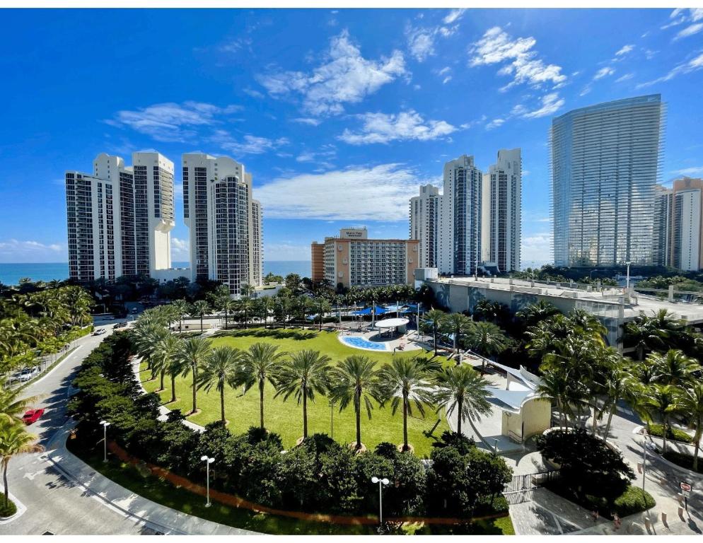 迈阿密海滩海洋保护区公寓酒店的一座拥有高楼建筑的城市和一个棕榈树公园
