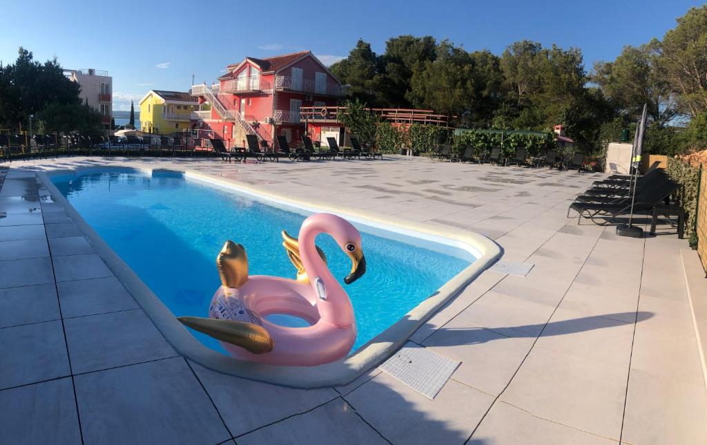 比利切Lipovac resort Ficus的游泳池里漂浮着粉红色的火烈鸟