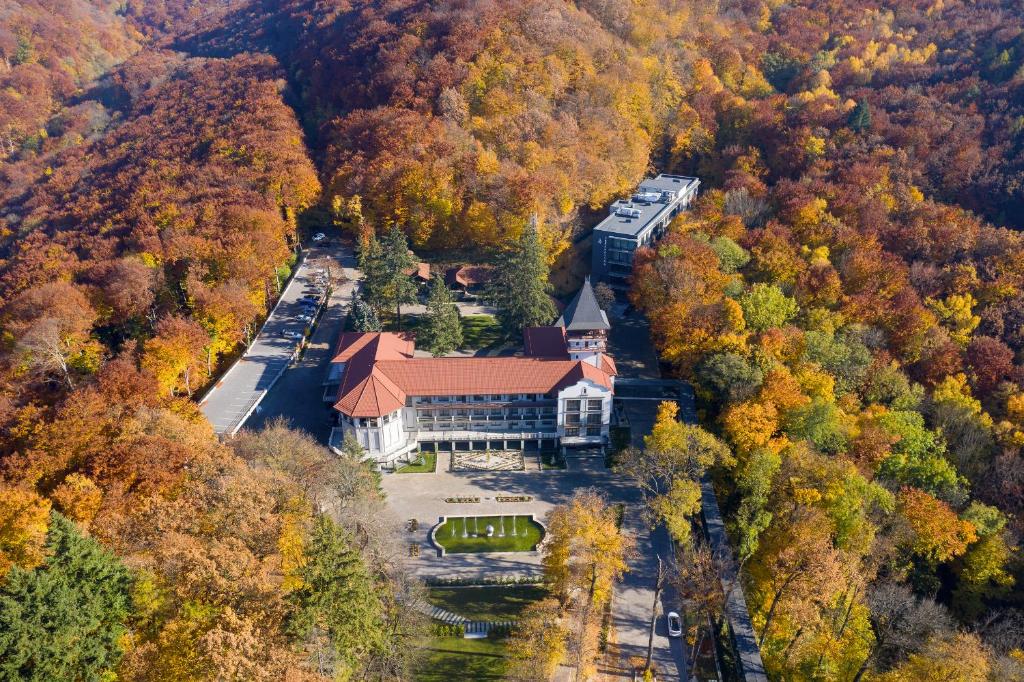 KamenitsaVerkhovyna Resort Medical & Wellness的森林中央建筑物的空中景观