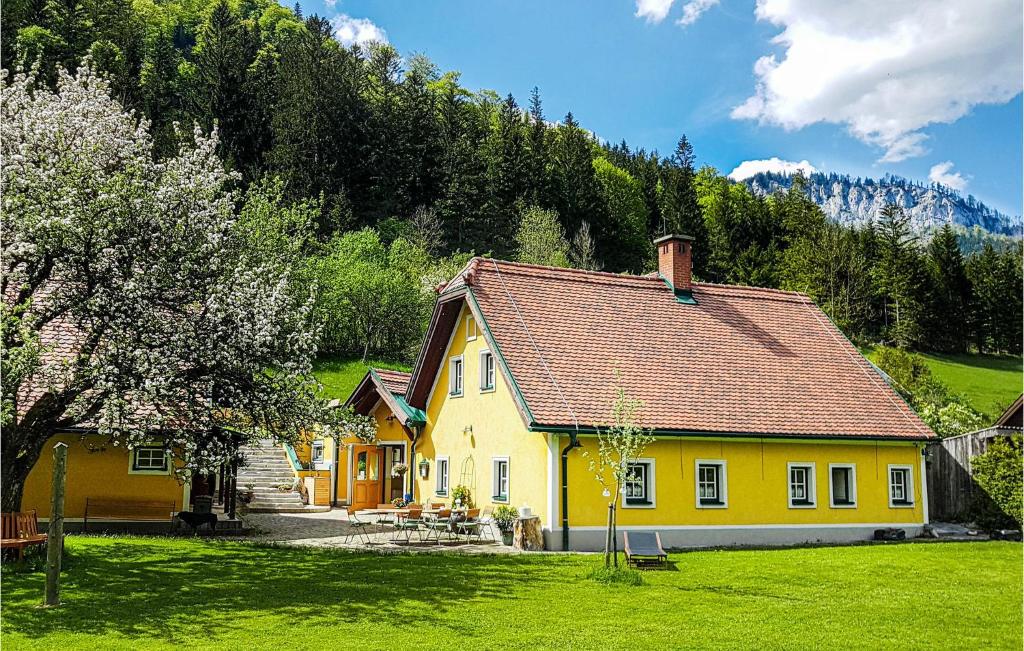 米尔茨施泰格Stunning Home In Mrzsteg With House A Mountain View的田间中的一个黄色房子