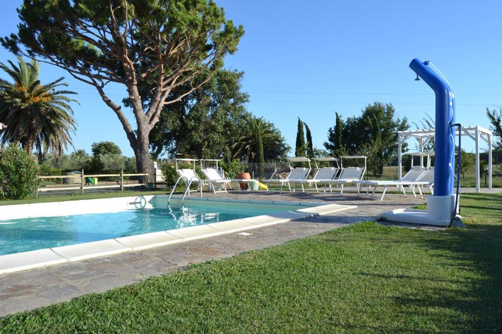 格罗塞托港Agriturismo Beveraggio Appartamenti的一个带躺椅的游泳池以及一棵树