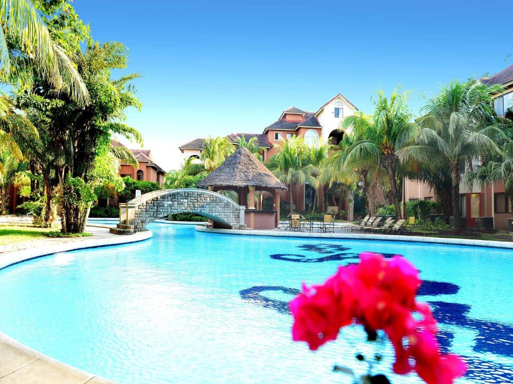 圣克鲁斯Buganvillas Hotel Suites的一座带桥梁和棕榈树的游泳池