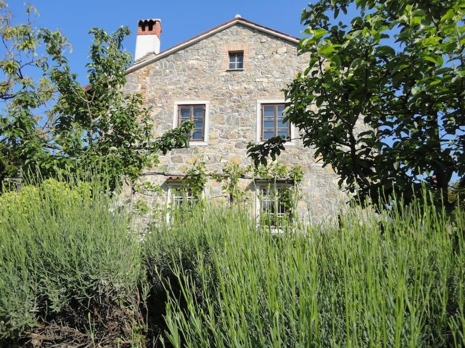 维帕瓦A lovely house in Vipava valley的田野中间的一座古老的石头建筑