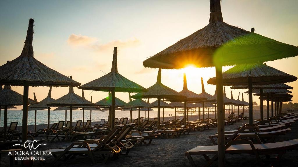 基兹洛特Adora Calma Beach Hotel Adults Only的海滩上的一组椅子和遮阳伞