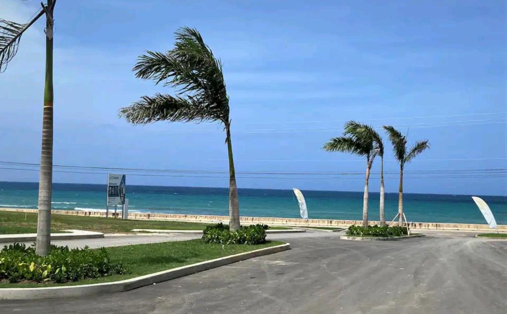 卢西Scenic Ocean View Home的一条有棕榈树和海洋的空路